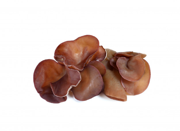 8 Manfaat jamur kuping hitam bagi kesehatan, baik untuk usus