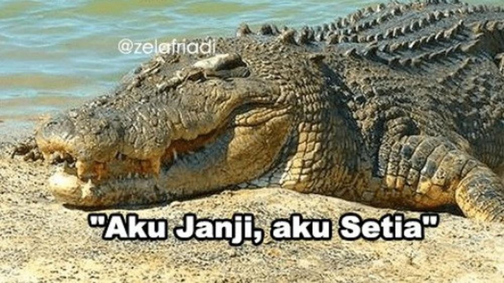 95 Kata-kata gombal buaya darat, bikin cewek geleng kepala