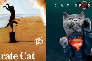 8 Potret poster film diedit dengan karakter kucing, kocak