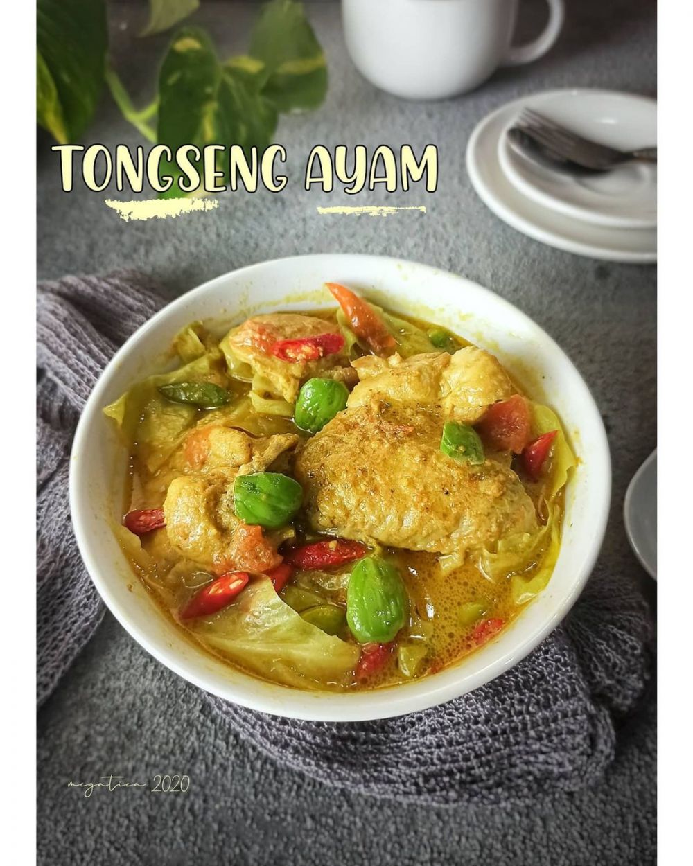 15 Resep kreasi ayam dan santan, gurih serta nikmatnya bikin nagih