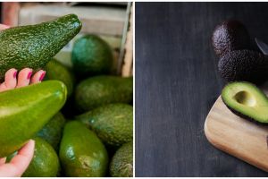 4 Cara memilih alpukat yang matang dan berdaging tebal