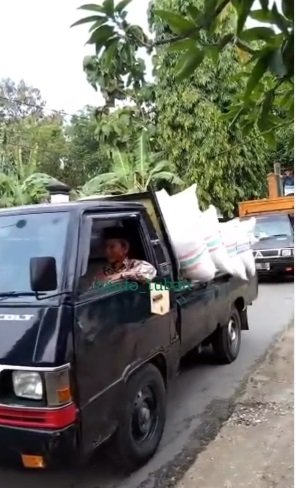 Viral pria beri seserahan nikah pakai gabah 7 mobil dan hewan ternak