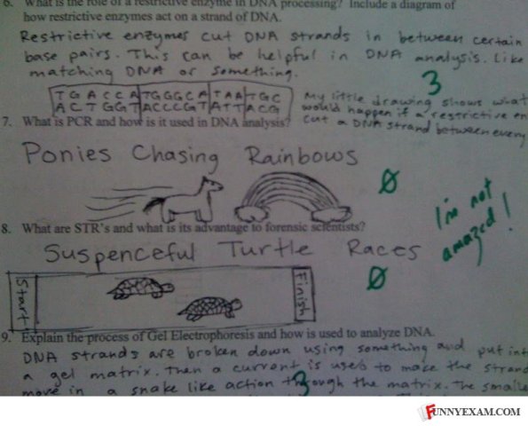 22 Jawaban lucu di soal bahasa Inggris ini bikin guru ngelus dada