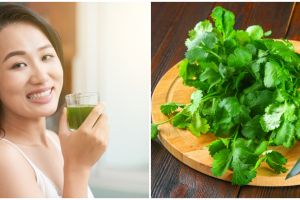10 Manfaat daun ketumbar bagi kesehatan, bisa detoks racun