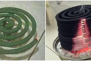 8 Potret nyeleneh penggunaan obat nyamuk ini bikin geleng kepala