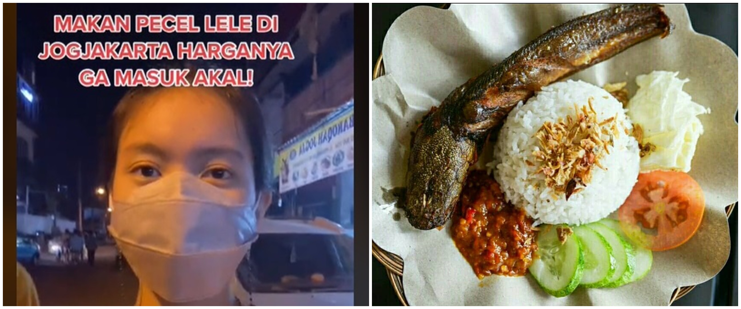 Viral curhat warganet bayar mahal seporsi pecel lele di Malioboro