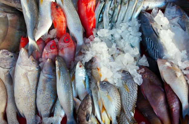 6 Cara memilih ikan yang segar dan berkualitas baik