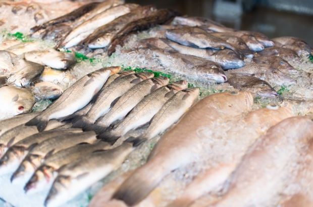 6 Cara memilih ikan yang segar dan berkualitas baik