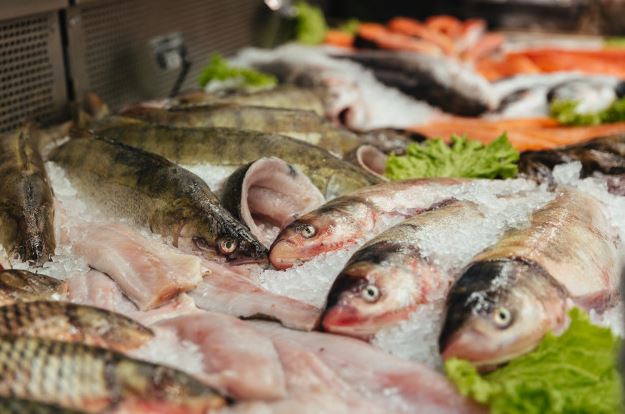 6 Cara memilih ikan yang segar dan berkualitas baik