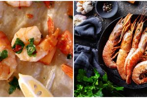 8 Jenis udang laut ini jadi incaran pecinta seafood 