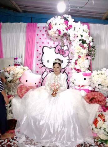 Viral pernikahan bertema Hello Kitty, wajah mempelai curi perhatian