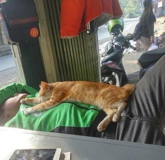 10 Potret lucu driver ojek online saat istirahat, bikin senyum tipis