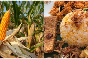 10 Manfaat nasi jagung untuk kesehatan, menyehatkan mata