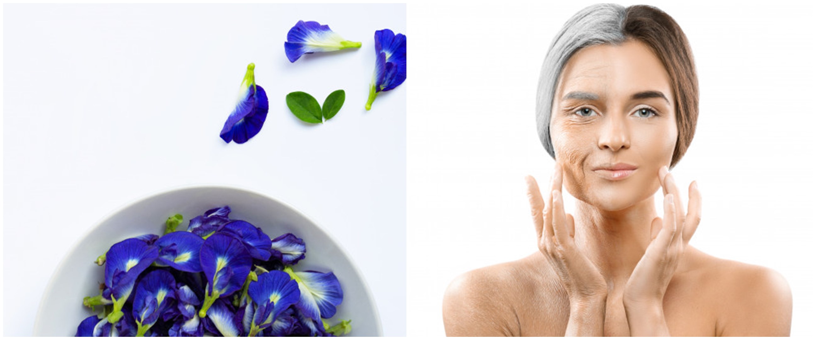 10 Manfaat bunga telang untuk kecantikan, mencegah penuaan dini