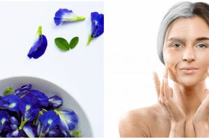 10 Manfaat bunga telang untuk kecantikan, mencegah penuaan dini