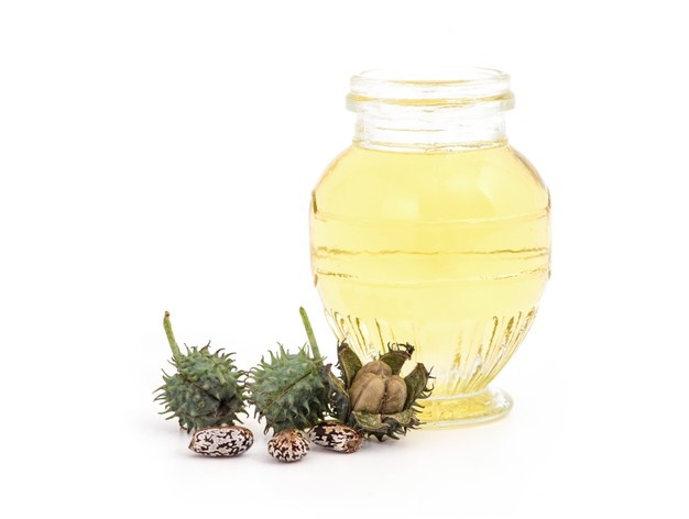 8 Manfaat daun jarak bagi kesehatan, turunkan demam pada anak