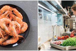 6 Cara menyimpan udang agar tetap segar dan tidak busuk