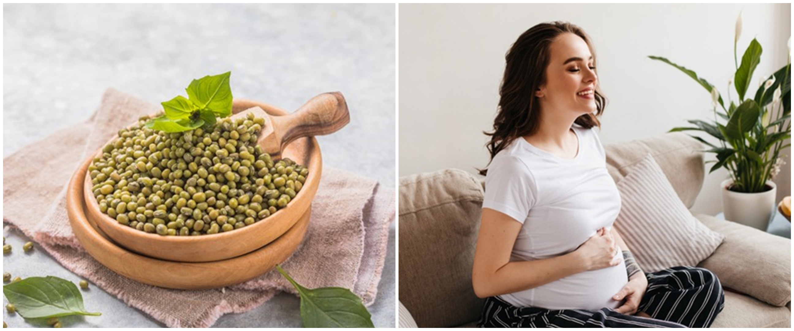 10 Manfaat kacang hijau untuk ibu hamil, mengurangi mual dan muntah