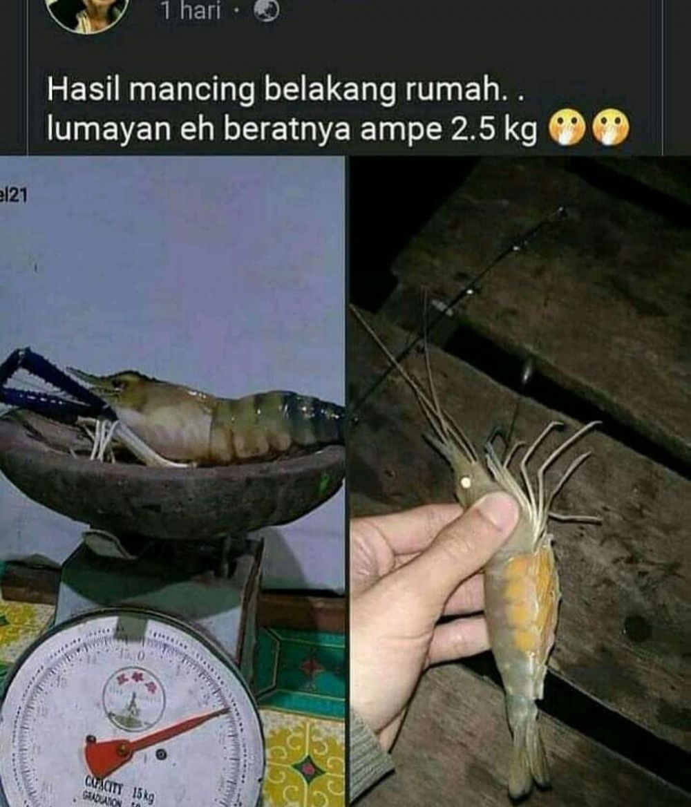 10 Potret lucu orang mau pamer ini malah bikin tepuk jidat