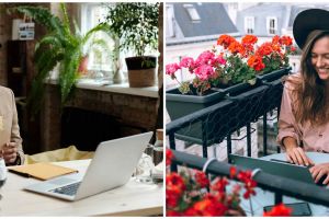 40 Kata-kata bijak tentang pekerjaan, inspiratif dan penuh motivasi