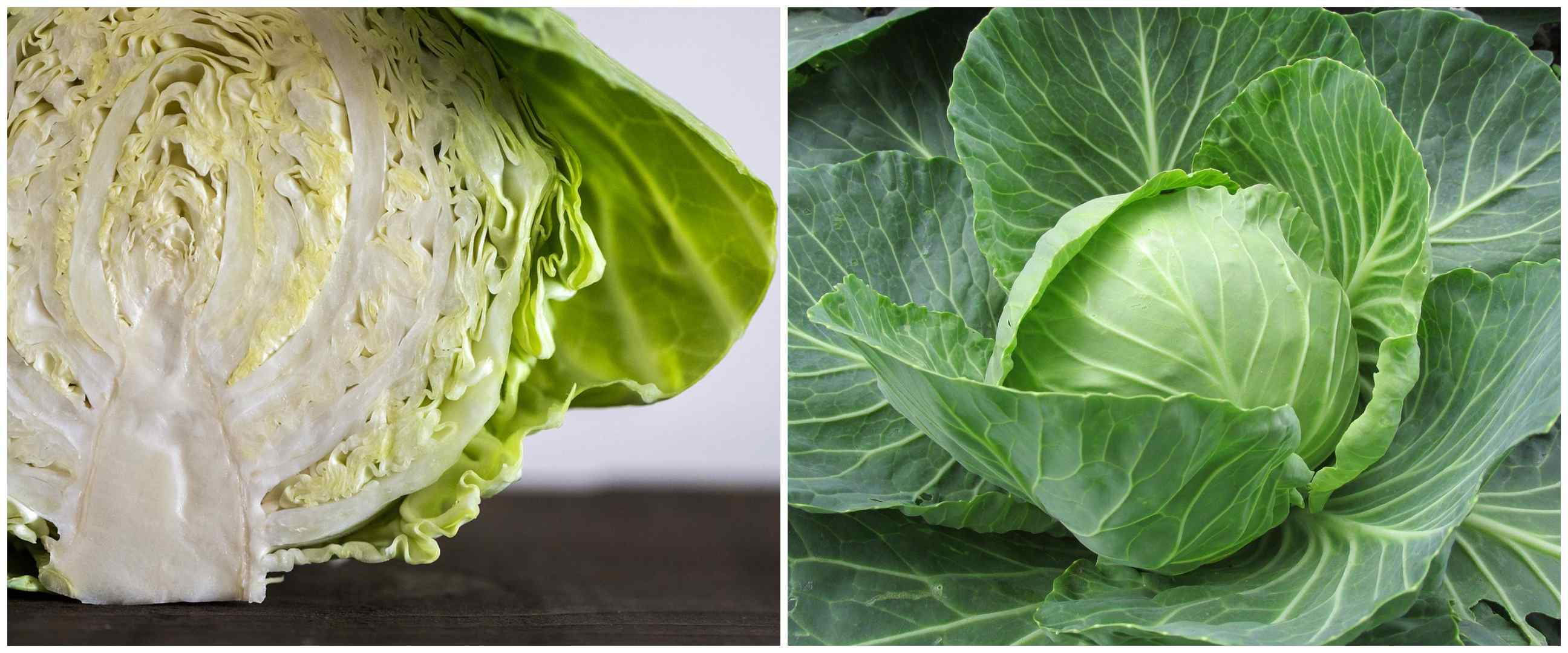 9 Manfaat kubis untuk kesehatan, bantu turunkan kadar kolesterol