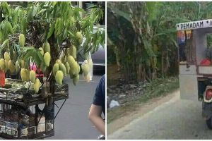 10 Ide kreatif pedagang keliling ini bikin geleng kepala