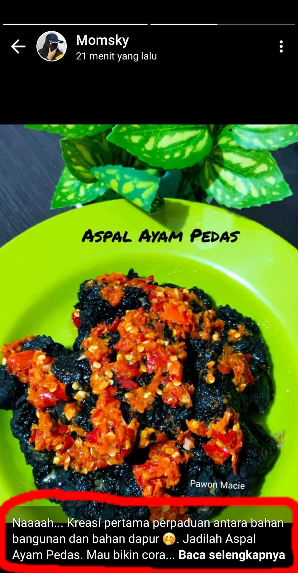 10 Status lucu pamer kreasi masakan di WhatsApp ini bikin cekikikan
