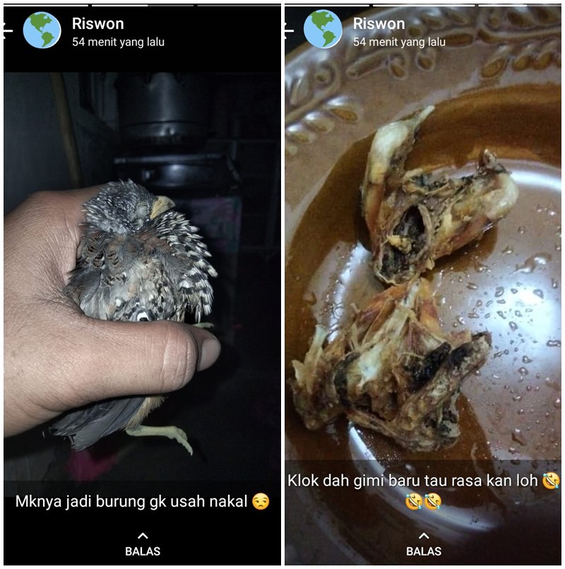 10 Status lucu pamer kreasi masakan di WhatsApp ini bikin cekikikan