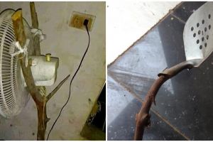 10 Benda diperbaiki pakai kayu ini endingnya malah absurd