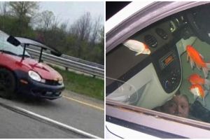 10 Potret nyeleneh modifikasi kendaraan ini bikin mikir keras