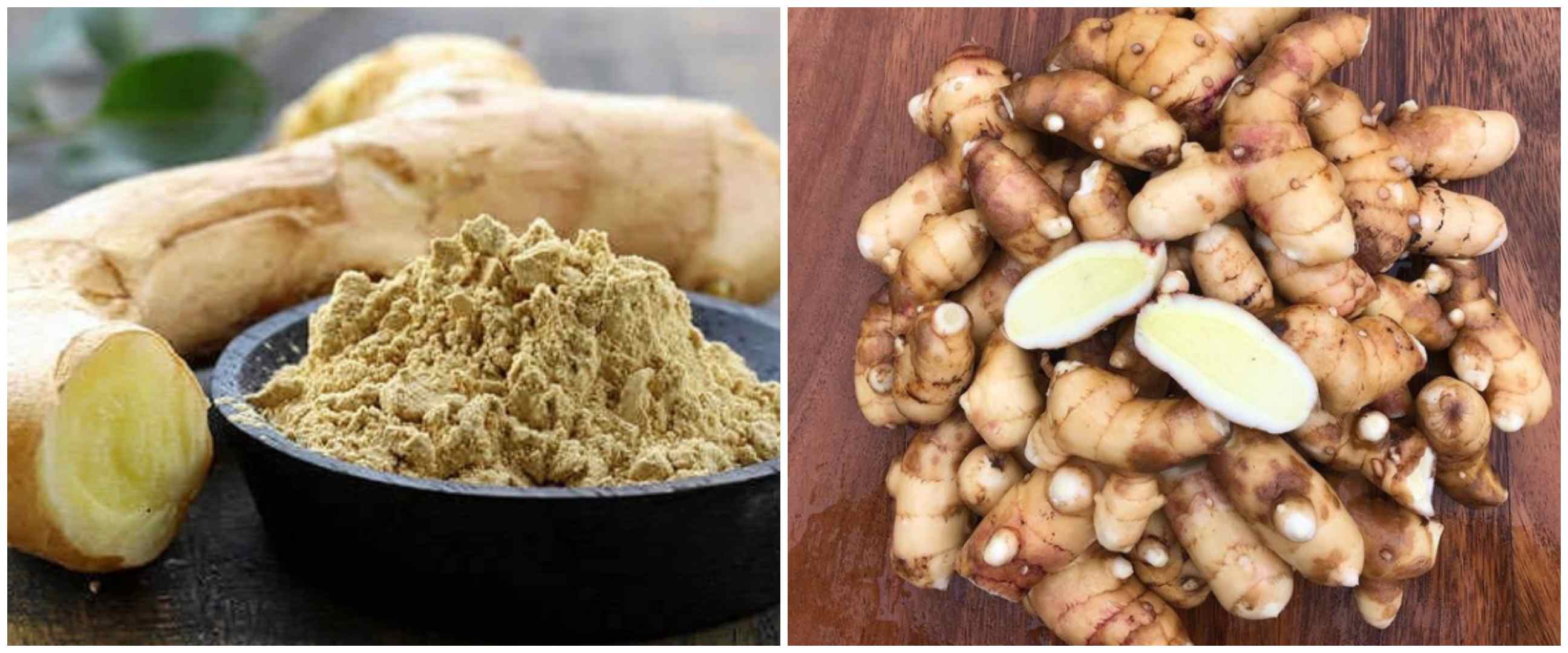 12 Manfaat kunyit putih untuk kesehatan, mengatasi asma