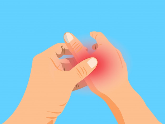 10 Manfaat daun sambiloto untuk kesehatan, mencegah penyakit jantung