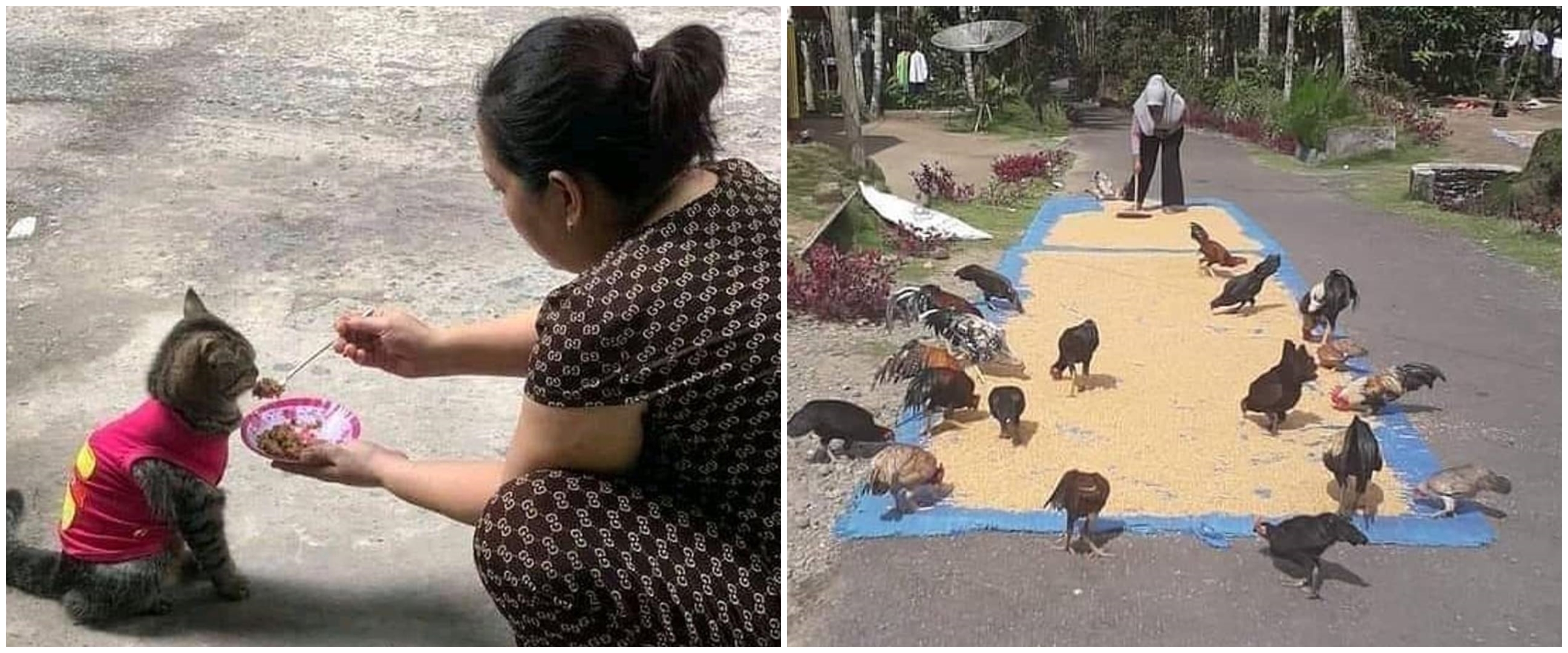 10 Momen lucu emak-emak dan hewan peliharaan bikin tepuk jidat