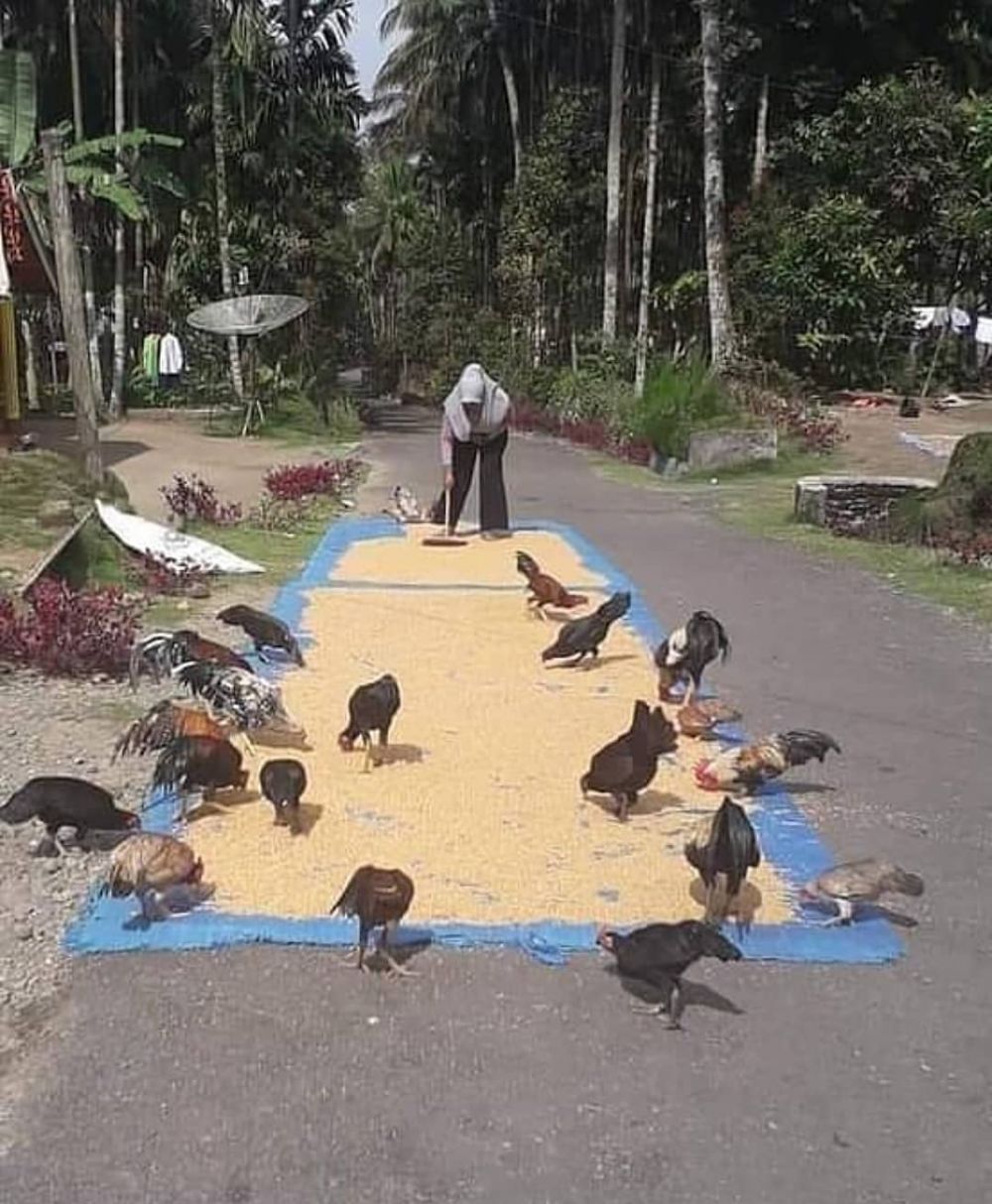10 Momen lucu emak-emak dan hewan peliharaan bikin tepuk jidat