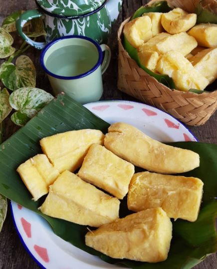 5 Cara menyimpan tapai singkong agar tahan lama