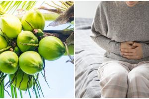8 Manfaat air kelapa wulung muda, mampu atasi keracunan