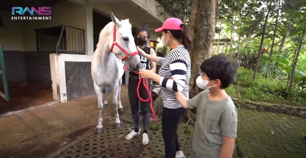 10 Potret kuda putih milik Nagita Slavina, didatangkan dari Belanda