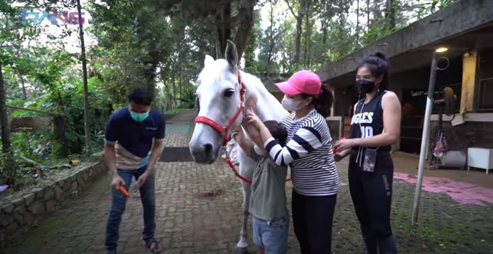 10 Potret kuda putih milik Nagita Slavina, didatangkan dari Belanda