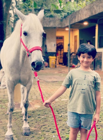 10 Potret kuda putih milik Nagita Slavina, didatangkan dari Belanda