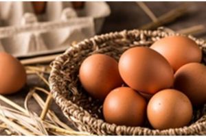 5 Cara tepat menyimpan telur supaya tahan lama