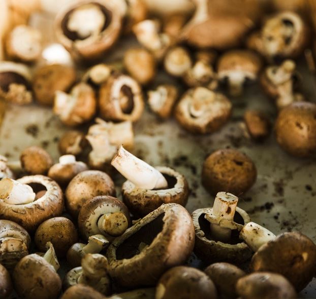 5 Cara memasak jamur kancing agar tidak bau