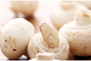 5 Cara memasak jamur kancing agar tidak bau
