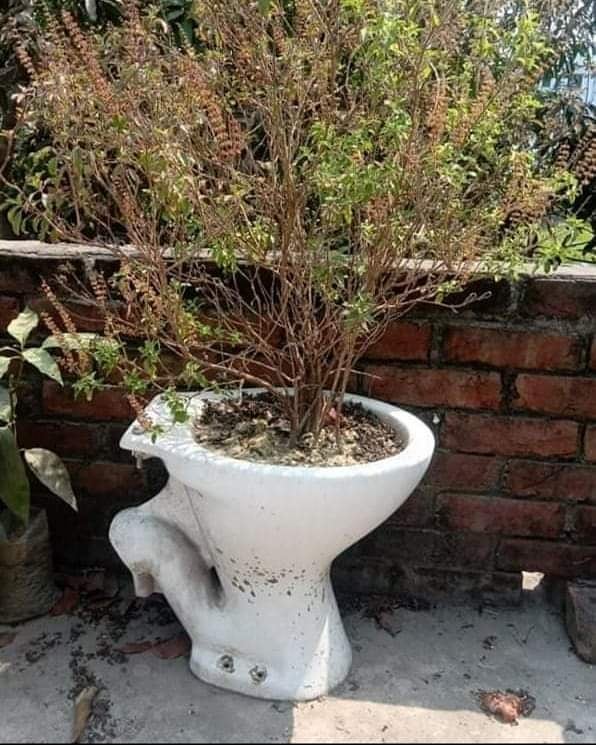 10 Potret lucu benda dibikin bangunan ini kreatifnya bikin ketawa