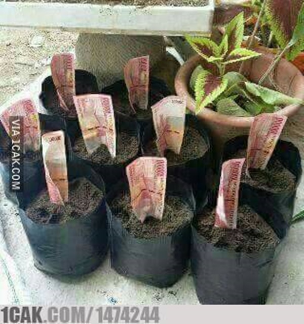 10 Cara lucu orang tajir menyelesaikan masalah ini nyeleneh abis