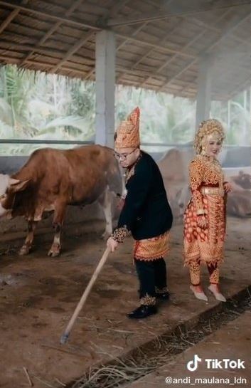 Viral calon pengantin foto prewedding di kandang sapi dan bebek, unik