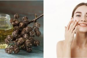 10 Manfaat minyak jarak untuk kesehatan & kecantikan, multifungsi