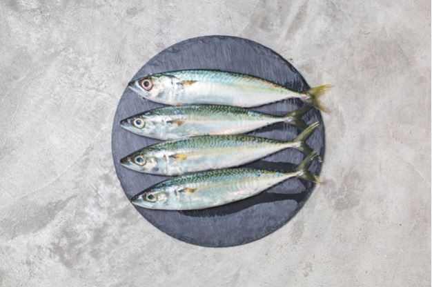 5 Cara memotong ikan fillet, mudah dan anti gagal