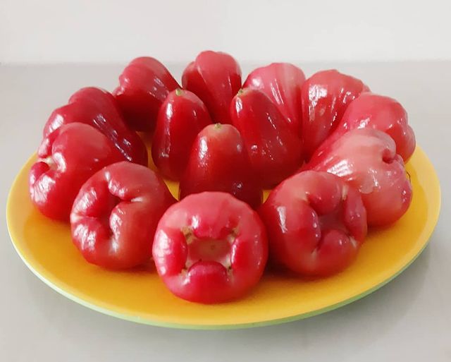 10 Jenis jambu air & keunggulannya, berfungsi sebagai antioksidan