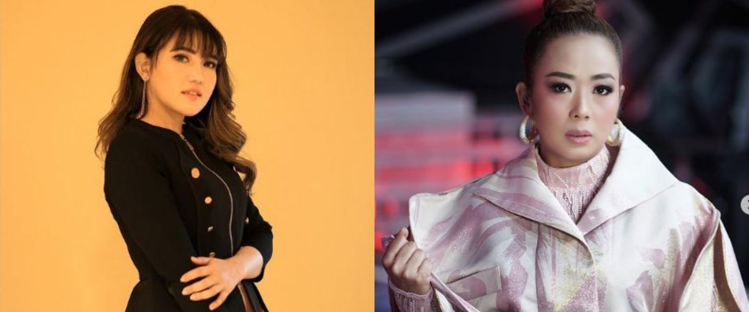 8 Potret rumah pedangdut wanita, milik Soimah dipenuhi tanaman