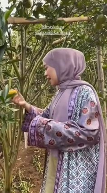 Jarang terekspos, ini 7 potret kebun jeruk milik Lesty Kejora